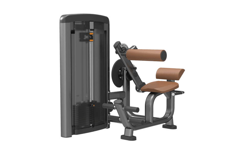 SN0809 Back / Abdominal Multi Trainer
