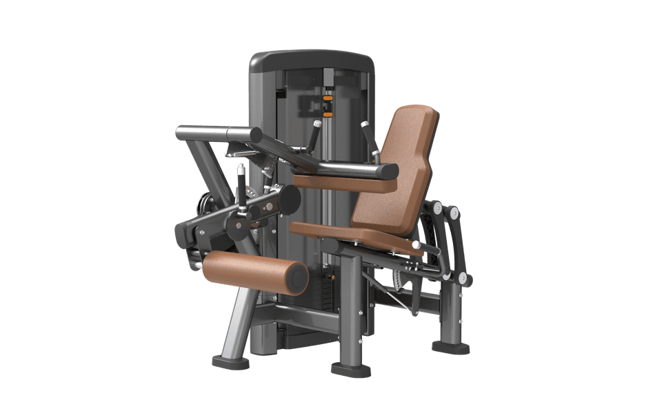 SN1516 Leg Extension / Curl