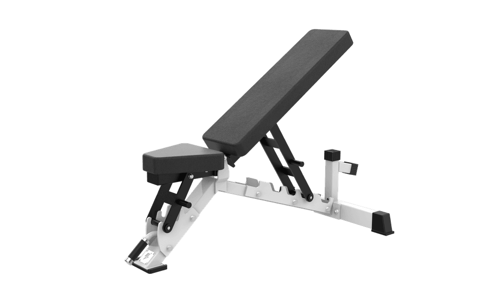 SAX042 Adjustable Dumbbell Bench