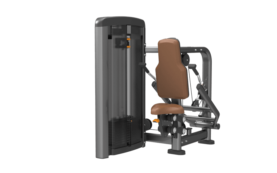 SN006 Seated Dip
