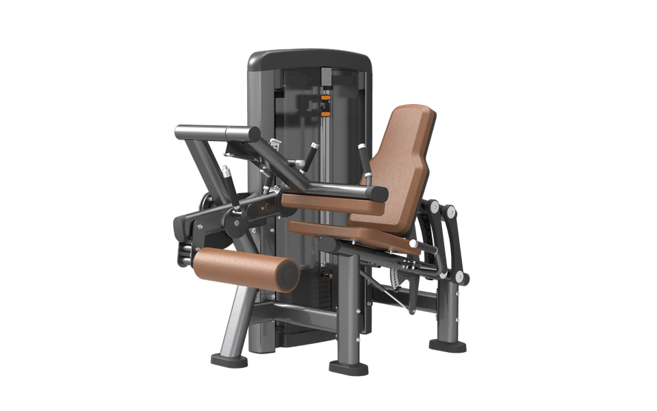 SN016 Seated Leg Curl