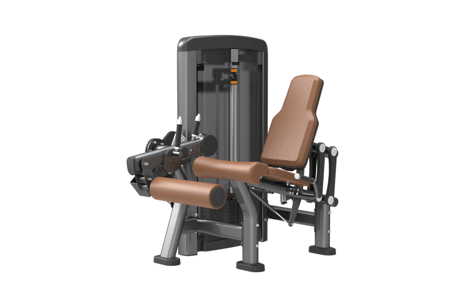 SN015 Leg Extension