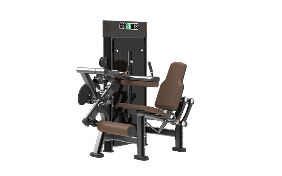 DM01516 Leg Extension / Curl