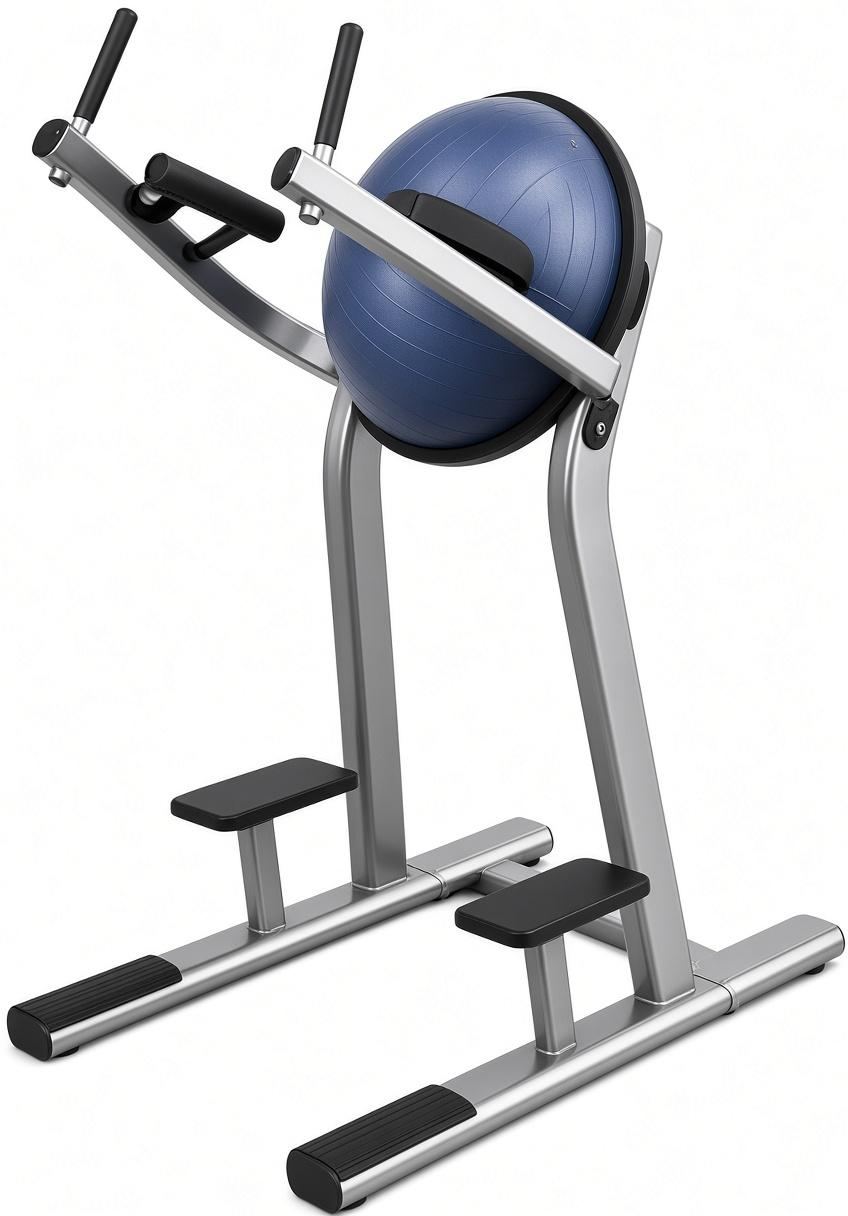 SNX046 Leg Raise Abdominal Machine