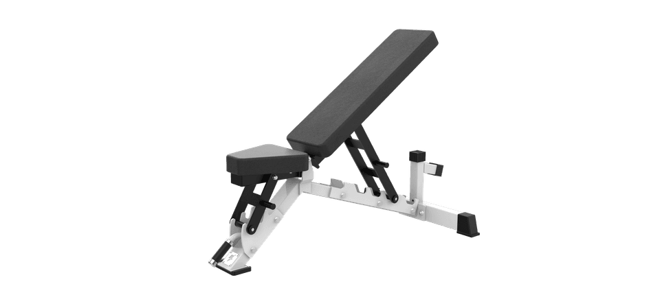 SAX042 Adjustable Dumbbell Bench