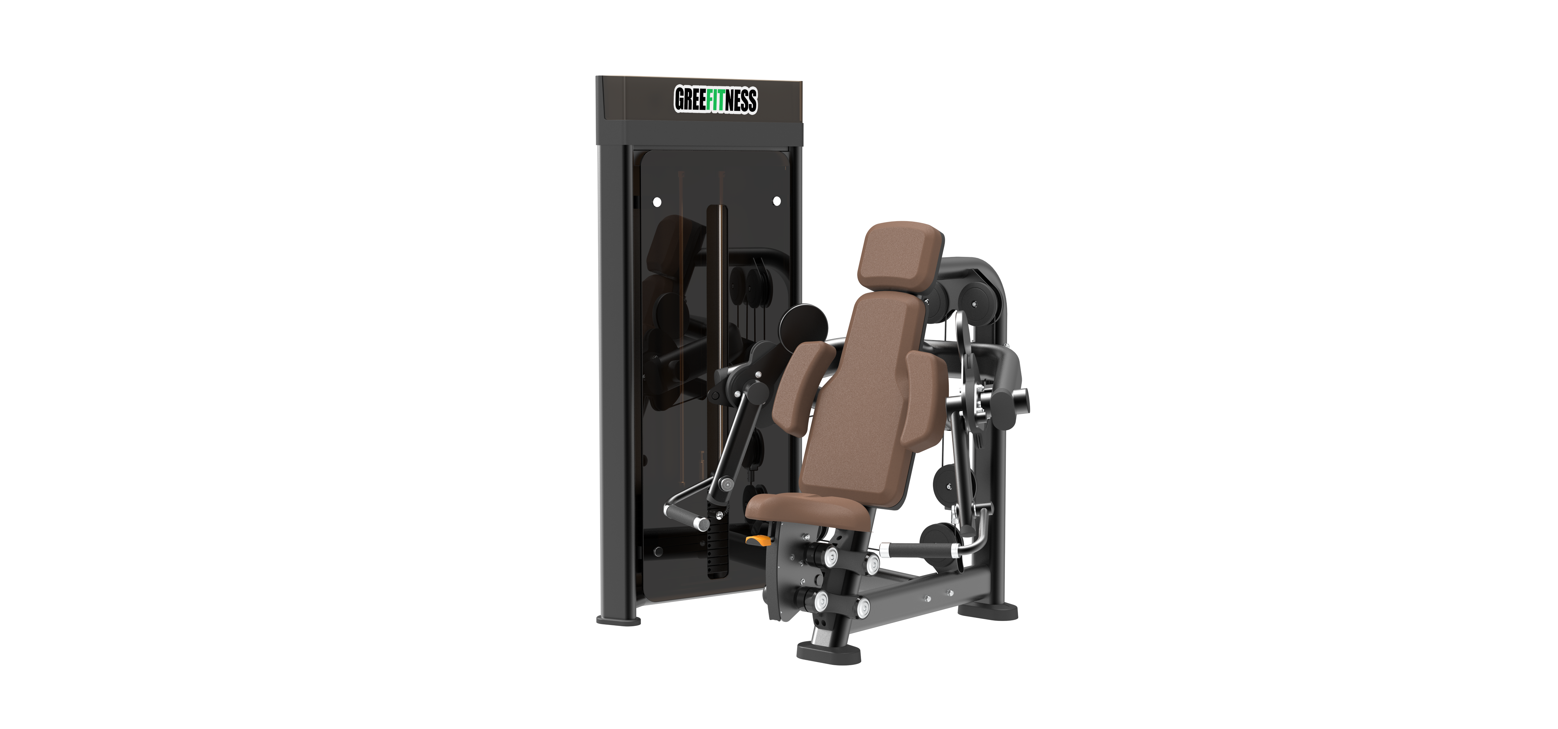 DM005 Biceps Curl