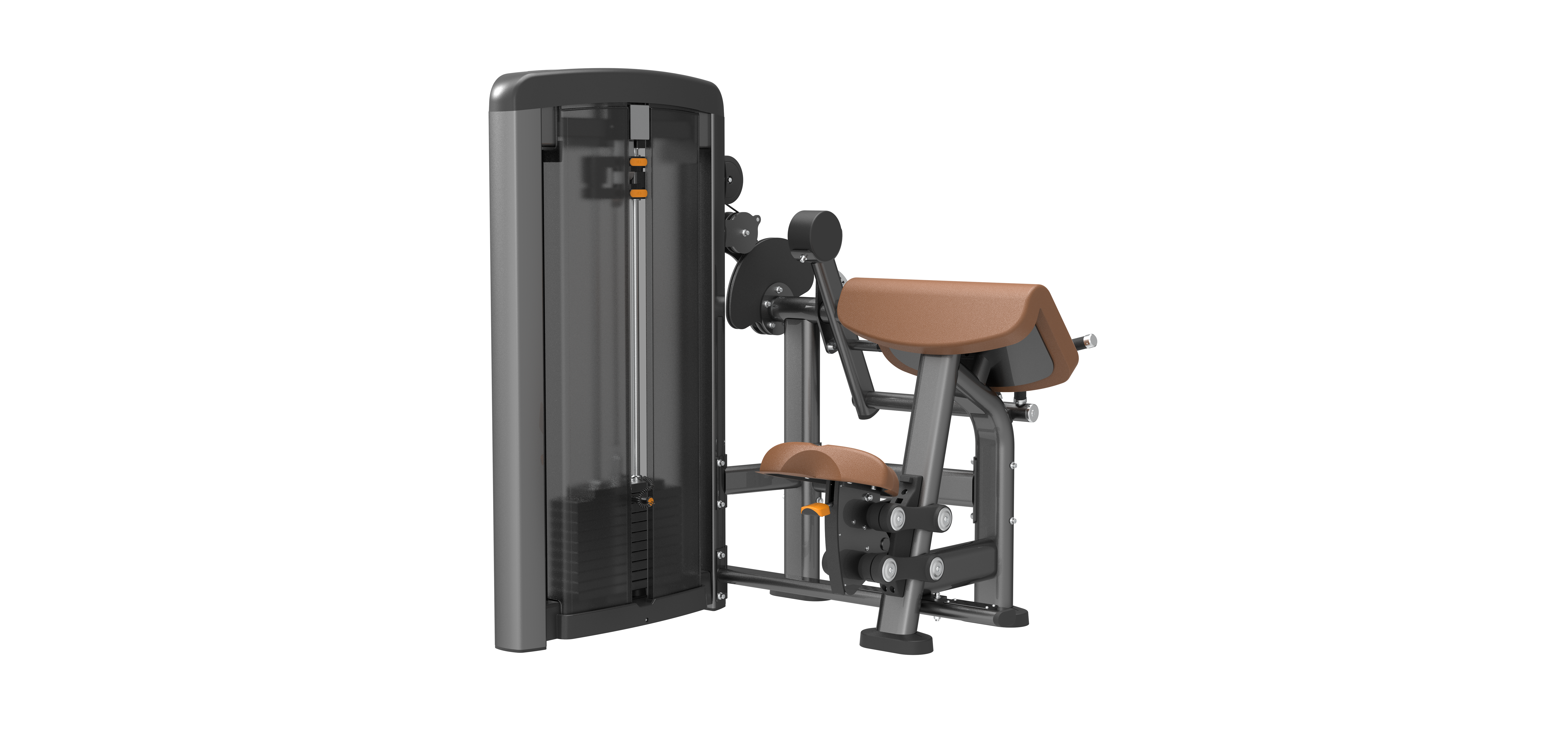 SN0506 Biceps / Triceps