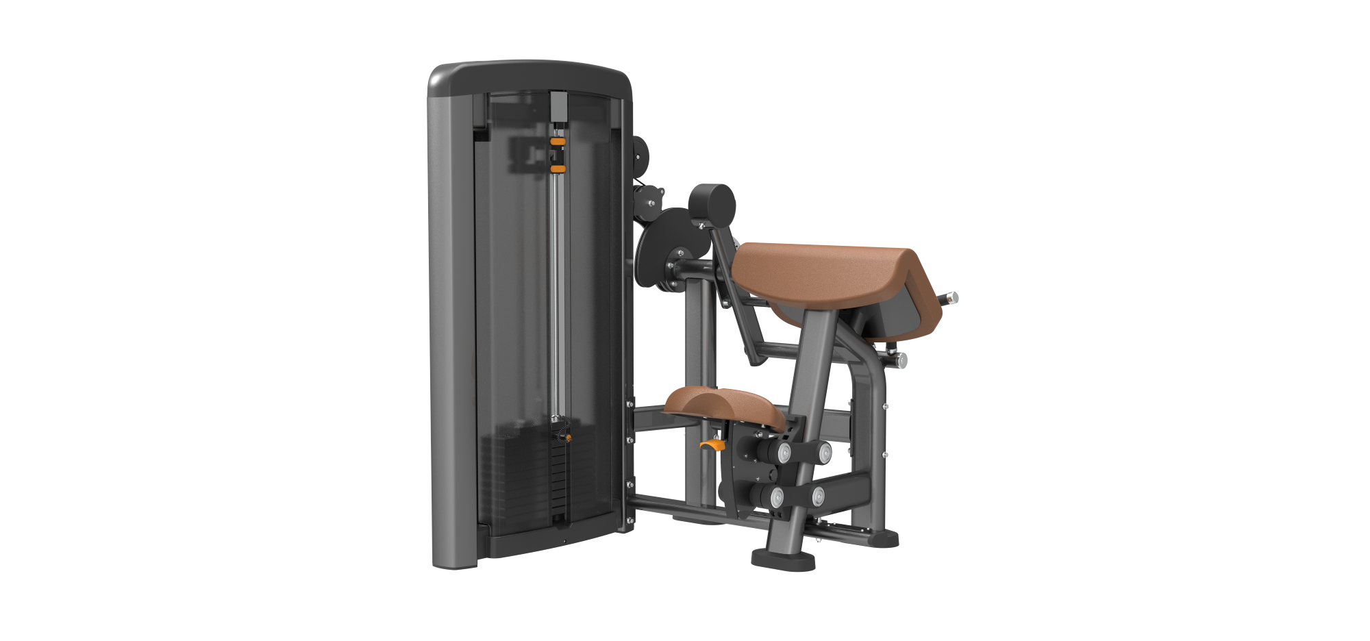 SN0506 Biceps / Triceps
