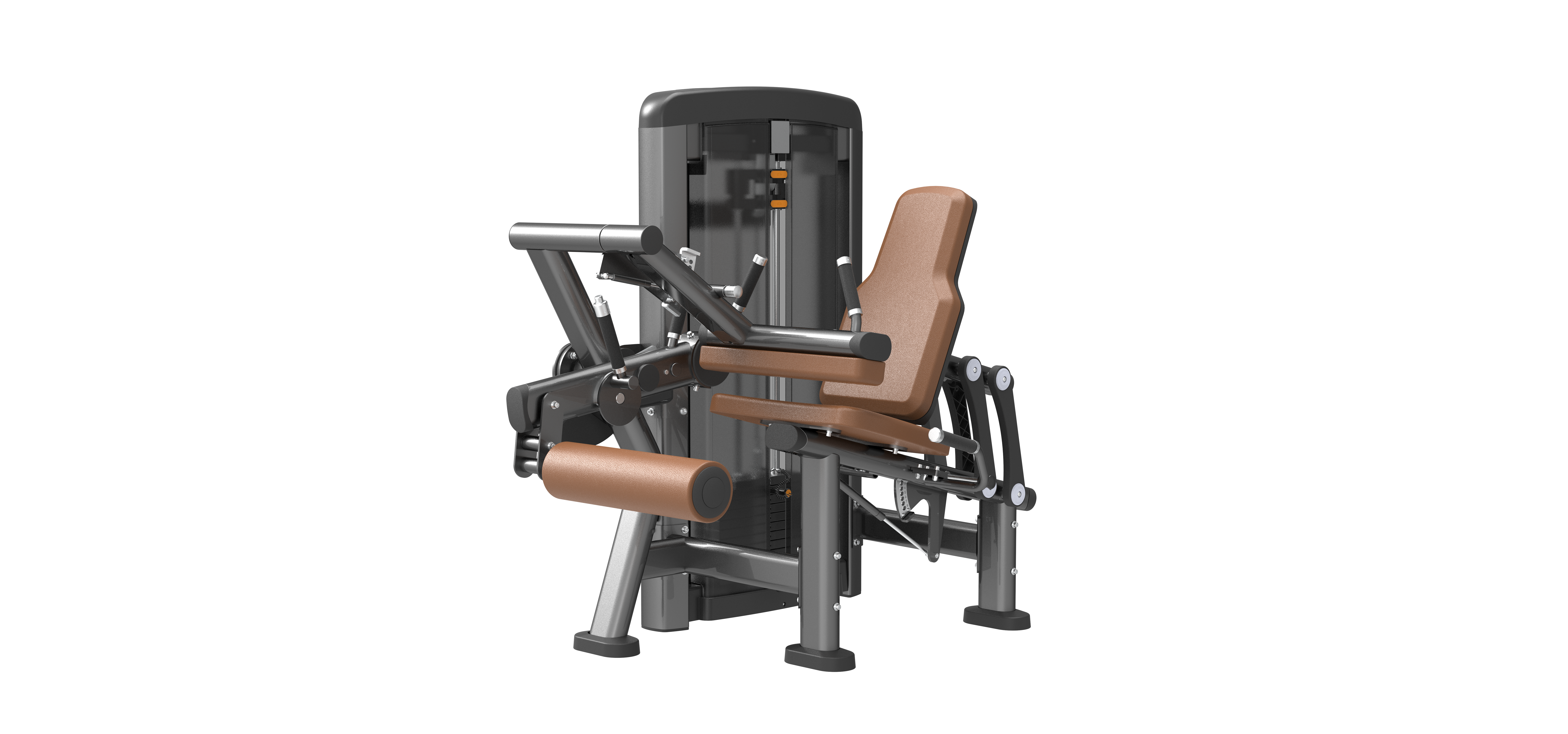 SN016 Seated Leg Curl