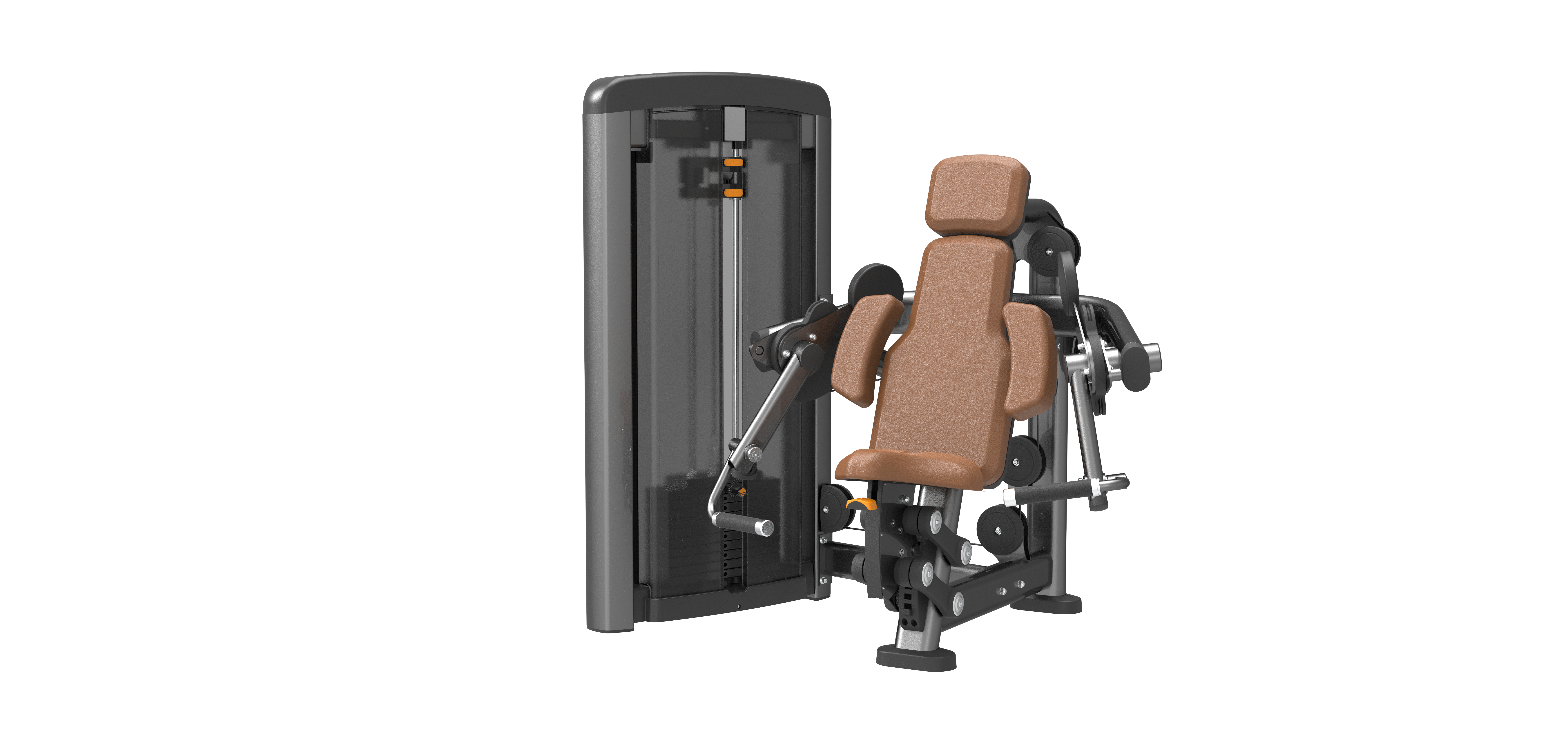 SN005 Biceps Curl